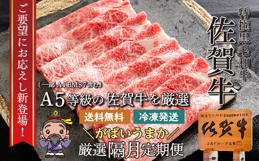 n-6【定期便6回】大人気！佐賀牛 赤身の定期便 偶数月発送 全6回