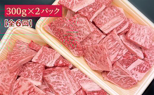 ｒ-１４　【偶数月に６回】佐賀牛小肉「はしっこちゃん」定期便