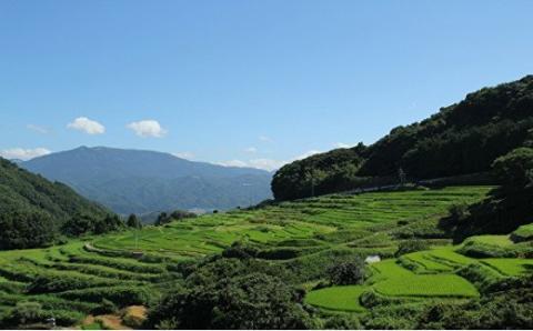 佐賀県多久市　応援寄附金（返礼品はありません）