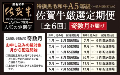 n-7【定期便6回】大人気の赤身も食べられる！佐賀牛 定期便 奇数月発送 全6回