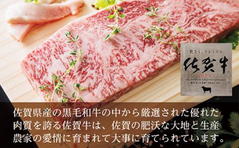 ｋ-１７【２か月連続】佐賀牛サーロインステーキ２５０ｇ×２枚が２回届く定期便