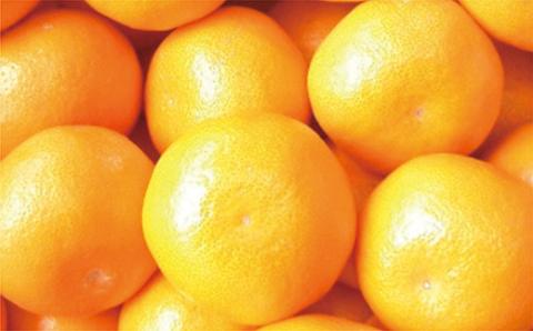 b-390 佐賀産 さがみかん 約 5kg 箱