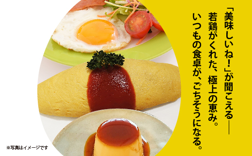 まろやかなコクと甘み！多久産 滋養卵 40個 卵 若鶏の滋養卵 _a-92