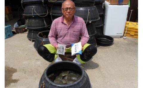 ｂ-３１４　すっぽん鍋や唐揚げにお手軽な冷凍スッポン　合計３００ｇ