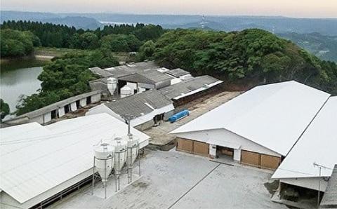 人気ブランド黒毛和牛　佐賀牛　ローストビーフ　４２０ｇ（ｚ-６１）