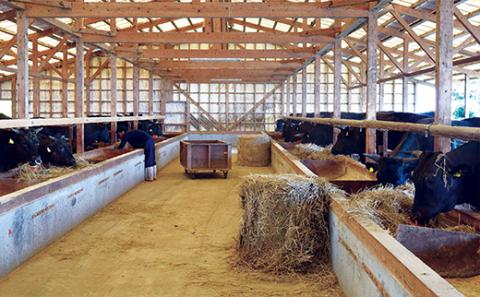 超希少！ 佐賀牛 ヒレステーキ 合計 450g 3枚 黒毛和牛 国産牛 ブランド牛 和牛 ヒレ肉 フィレ 赤身 肉 お肉 牛肉 ギフト 贈答 贈答用 人気 _e-23