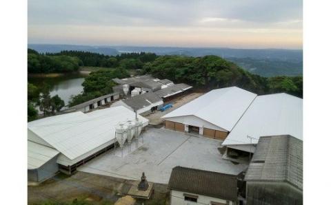 c-11 人気の佐賀牛 牛肉100% ハンバーグ 約150g×7個