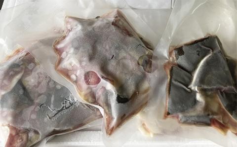 ｃ-１００　あなたの健康が私の幸せ  すっぽん鍋セット  ３?４人前