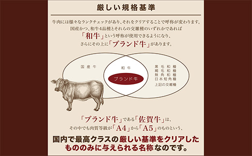 ｇ-６【奇数月に６回】佐賀牛 ヒレ ステーキ シャトーブリアン 定期便