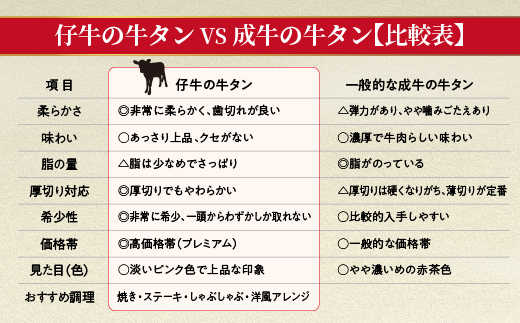 【定期便 12ヶ月】厚切り牛タンステーキ 塩味 600g×12回 定期便 _l-7