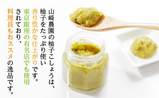 柚子こしょう 辛さ控えめ 1kg 赤 柚子胡椒（ゆずこしょう） _b-183