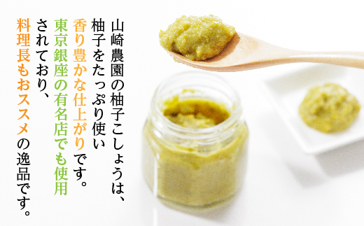 柚子こしょう 激辛 1kg 黄 柚子胡椒（ゆずこしょう） _b-360