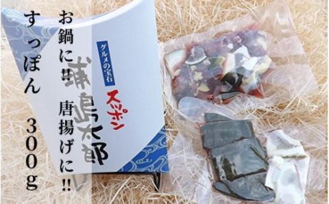 ｂ-３１４　すっぽん鍋や唐揚げにお手軽な冷凍スッポン　合計３００ｇ