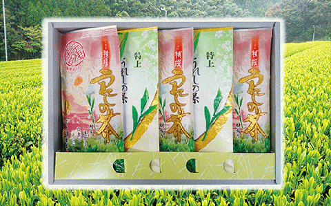 ｃ-５３　うれしの茶（嬉野茶）特上・特撰５本セット【緑茶】