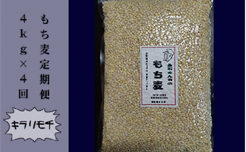 e-31 永石さんちのもち麦（キラリモチ）定期便 4kg×4回