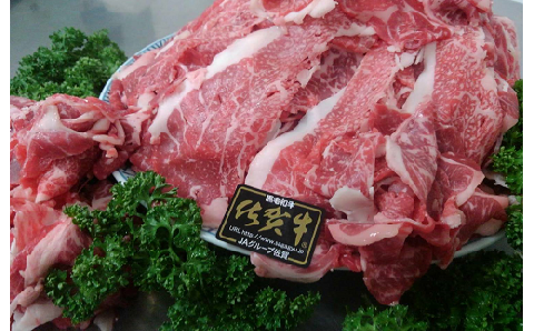 ｂ-４７昭和２１年創業　の老舗名店プロデュース！佐賀牛切り落とし６００ｇ