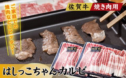 ｂ-２９３　佐賀牛焼き肉用はしっこちゃん【カルビ】１ｋｇ