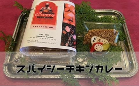 ｂ-１２９　スパイシーチキンカレー