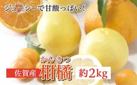 b-375 佐賀産柑橘（かんきつ）　約2kg
