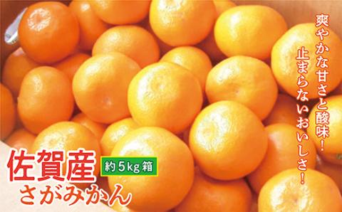 b-390 佐賀産 さがみかん 約 5kg 箱