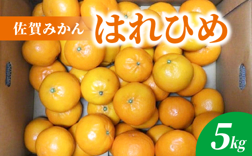 はれひめ 5kg _b-499