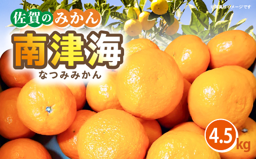 南津海（なつみ）みかん 4.5kg _b-501