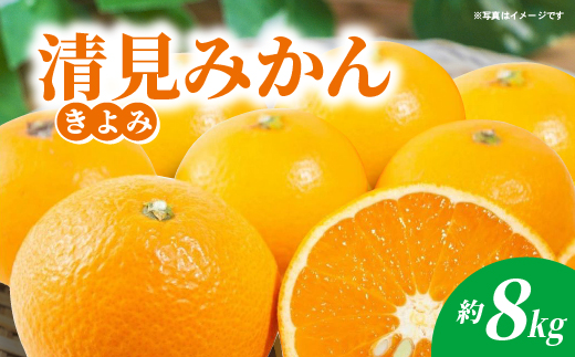 清見（きよみ）みかん 約8kg _c-141