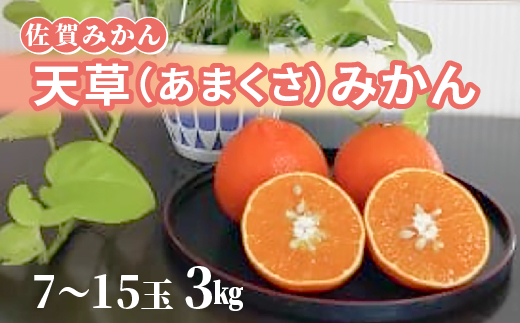 天草（あまくさ）みかん 7～15玉　3kg（化粧箱入り） _c-142