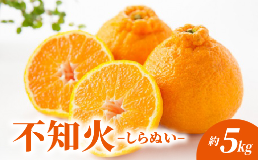 不知火 しらぬい 約5kg _c-143