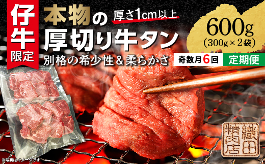 【定期便 奇数月×６回】厚切り牛タンステーキ 塩味 600g×6回 定期便 _k-27