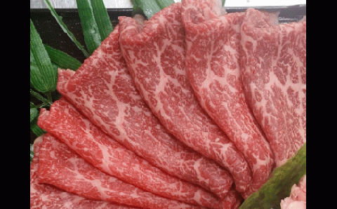 佐賀牛しゃぶしゃぶ用500g