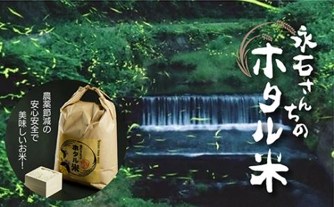 [令和5年産]永石さんちのホタル米 さがびより 5kg×2袋