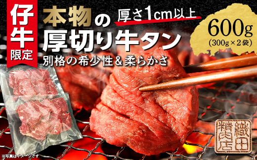 厚切り牛タンステーキ 塩味 600g（300g×2）_b-445