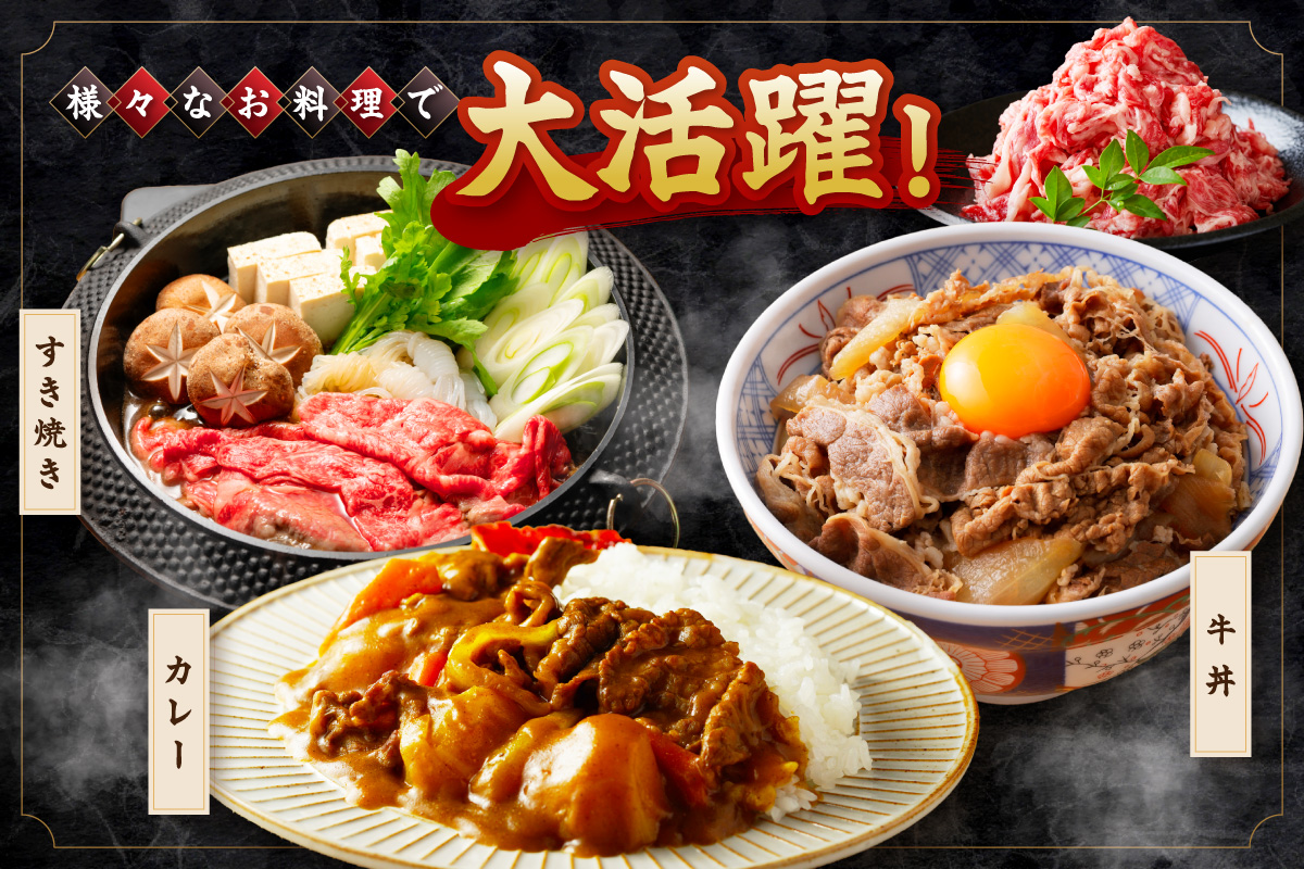 伊万里牛 切り落とし 500g すき焼き 牛丼 カレーにも 007-J1763
