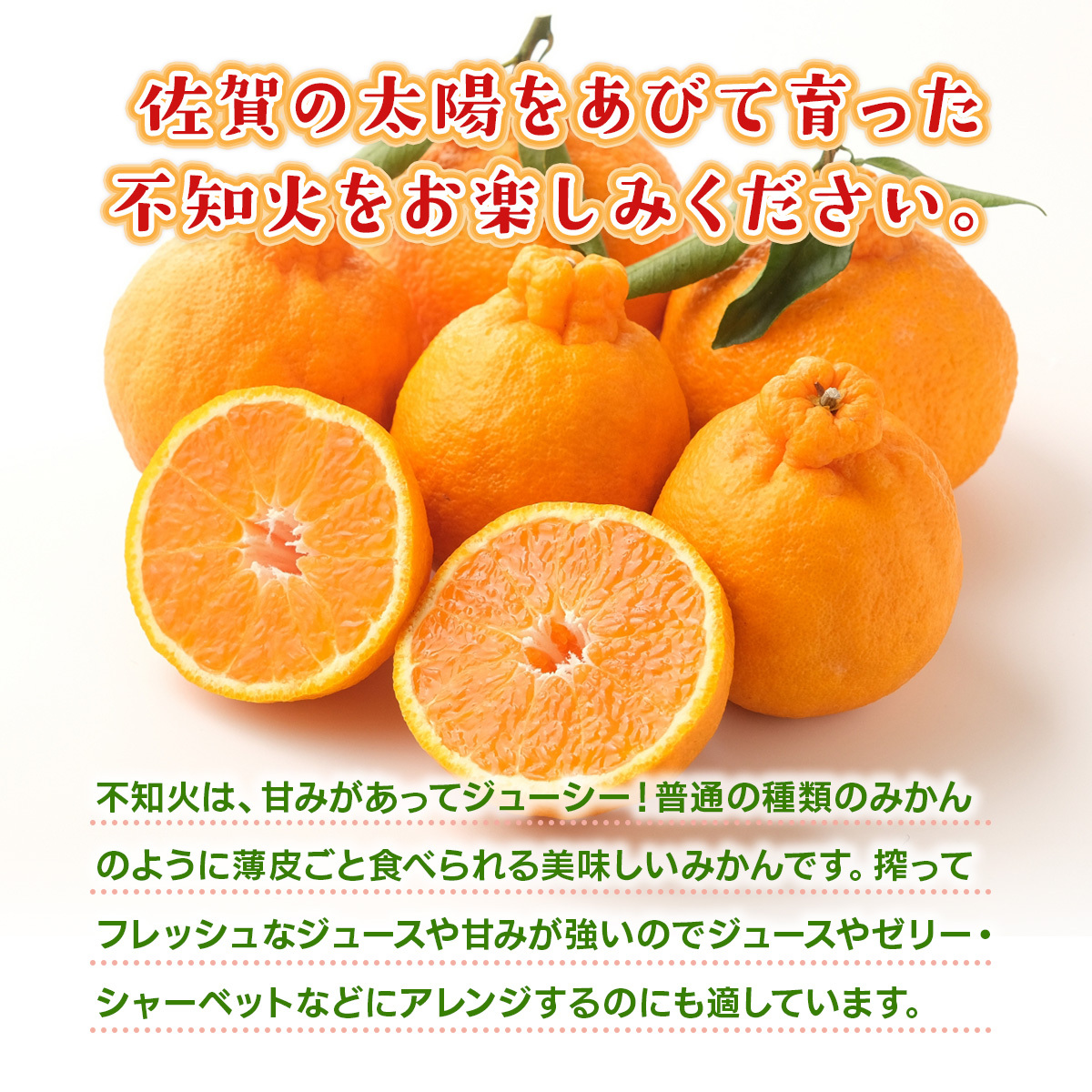 佐賀県産 不知火 約3kg 114-B1011