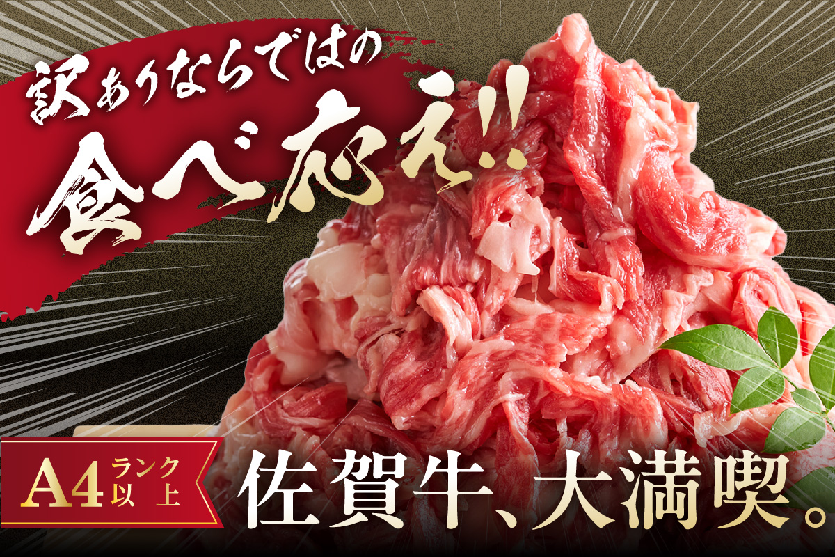 佐賀牛 訳あり 切り落とし 2kg 159-J1697