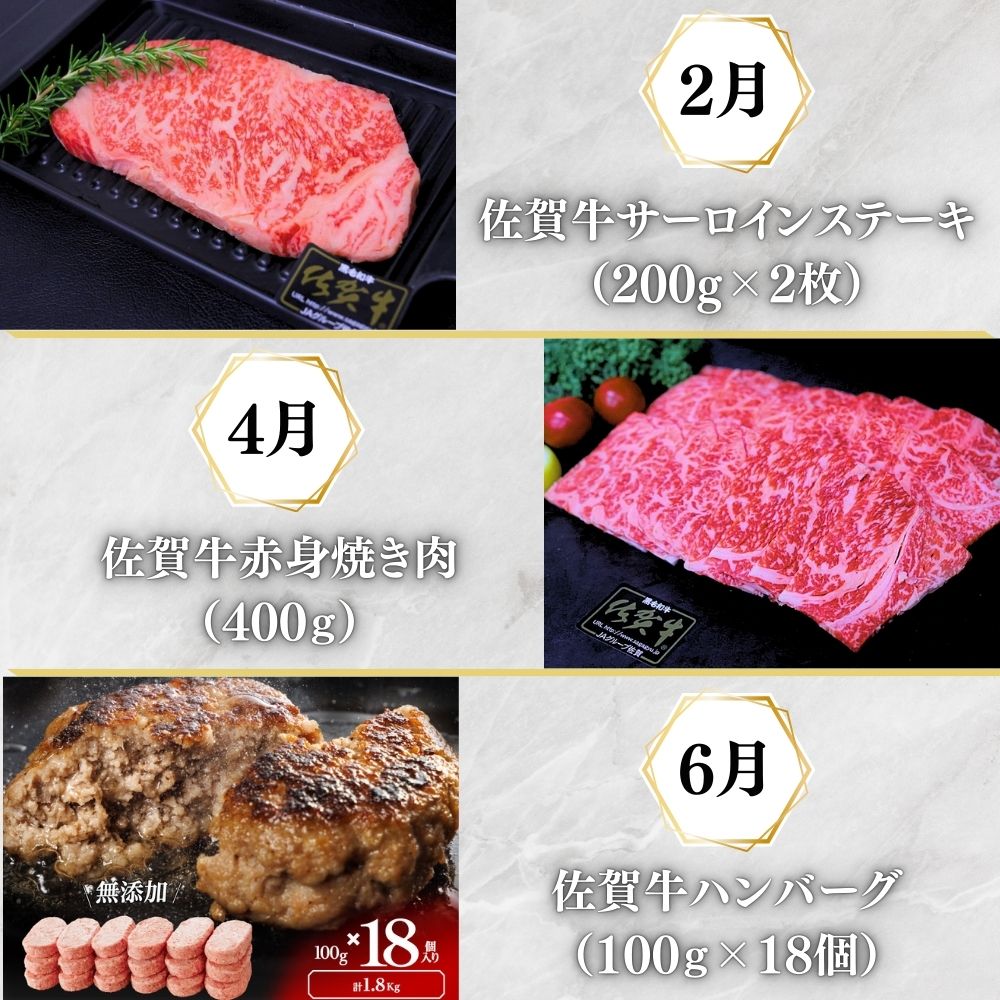 【偶数月に計６回】ALL 佐賀牛 がばいうまか 定期便 191-J1389