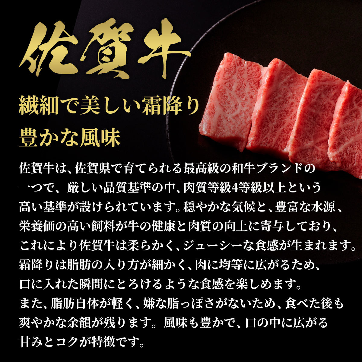 【和牛セレブ】佐賀牛　焼肉肩ロース　250ｇ　198-J1391