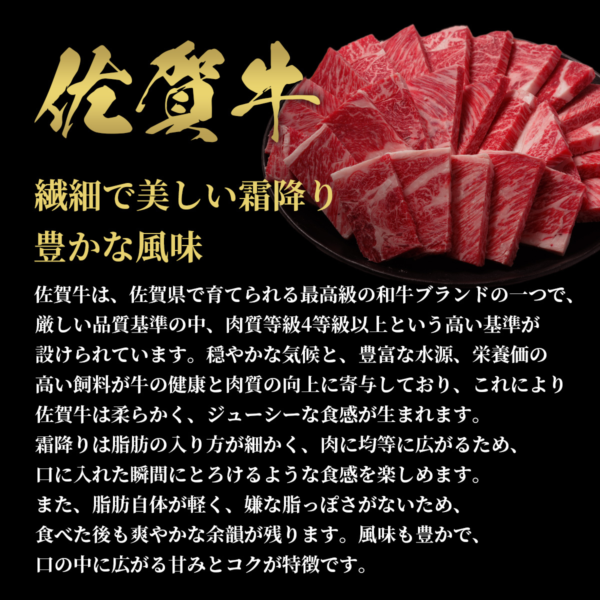 【和牛セレブ】佐賀牛　焼肉ロース　250ｇ　198-J1393