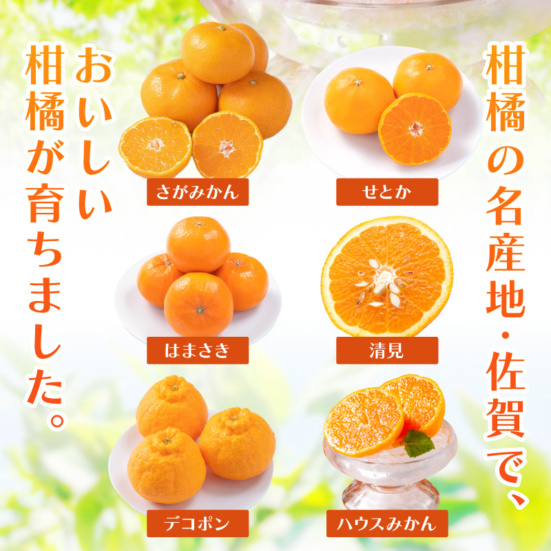 佐賀産 柑橘6種定期便 満喫セット【全6回】999-B862