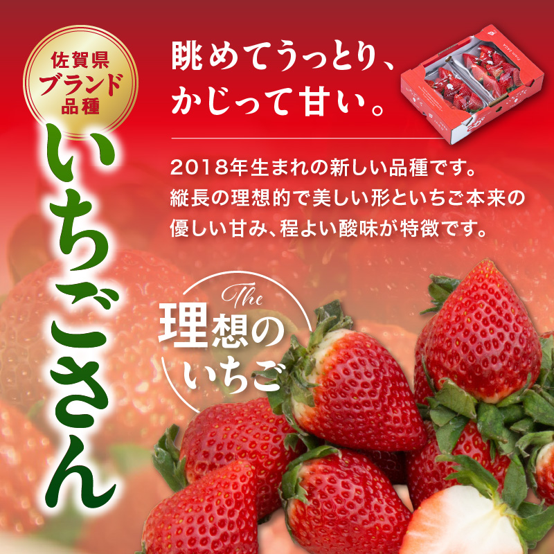 佐賀産いちご「いちごさん」＆「さがほのか」定期便 満喫セット【全3回】 999-B864