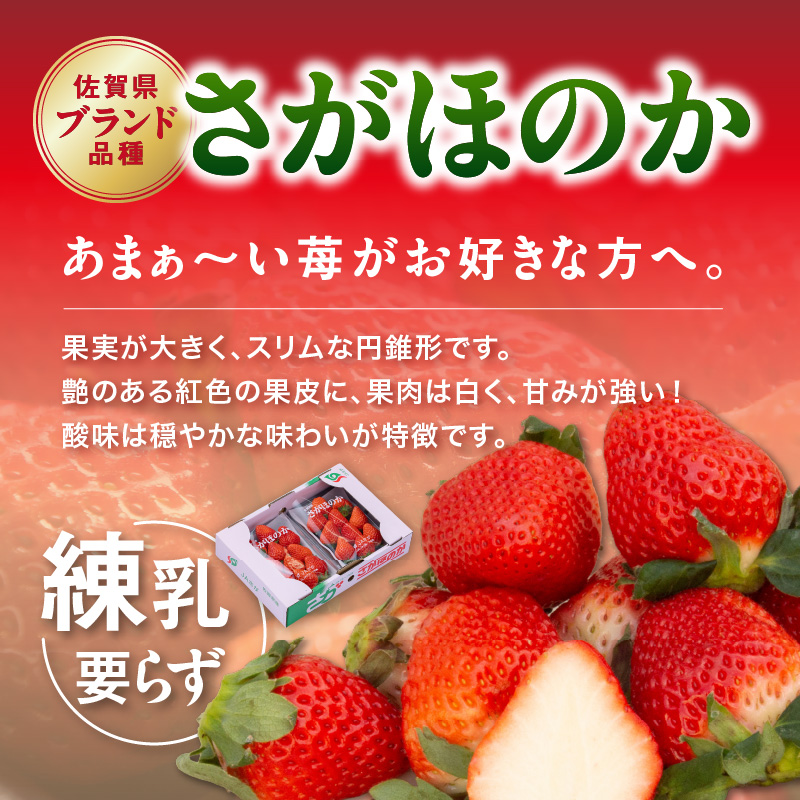 佐賀産「さがほのか」定期便 彩りセット【全3回】 999-B865