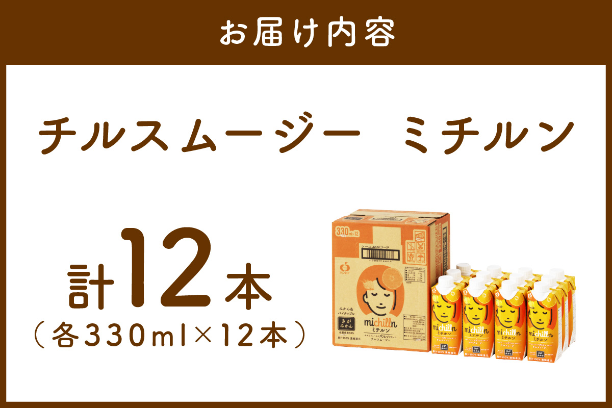 【佐賀県産温州みかん使用】 果汁 ミックスジュース ミチルン 330ml×12本 173-A058