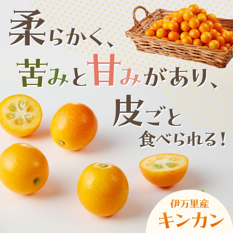 【減農薬】伊万里産キンカン（Lサイズ）2kg 柑橘類 003-B958