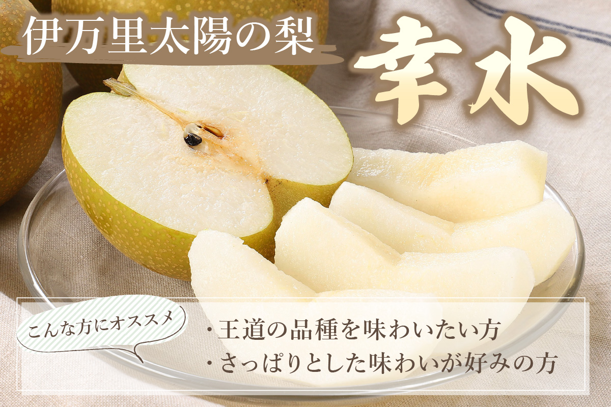 【2026年産先行予約】伊万里梨 「幸水」 約5kg ご自宅用におすすめ 178-B938