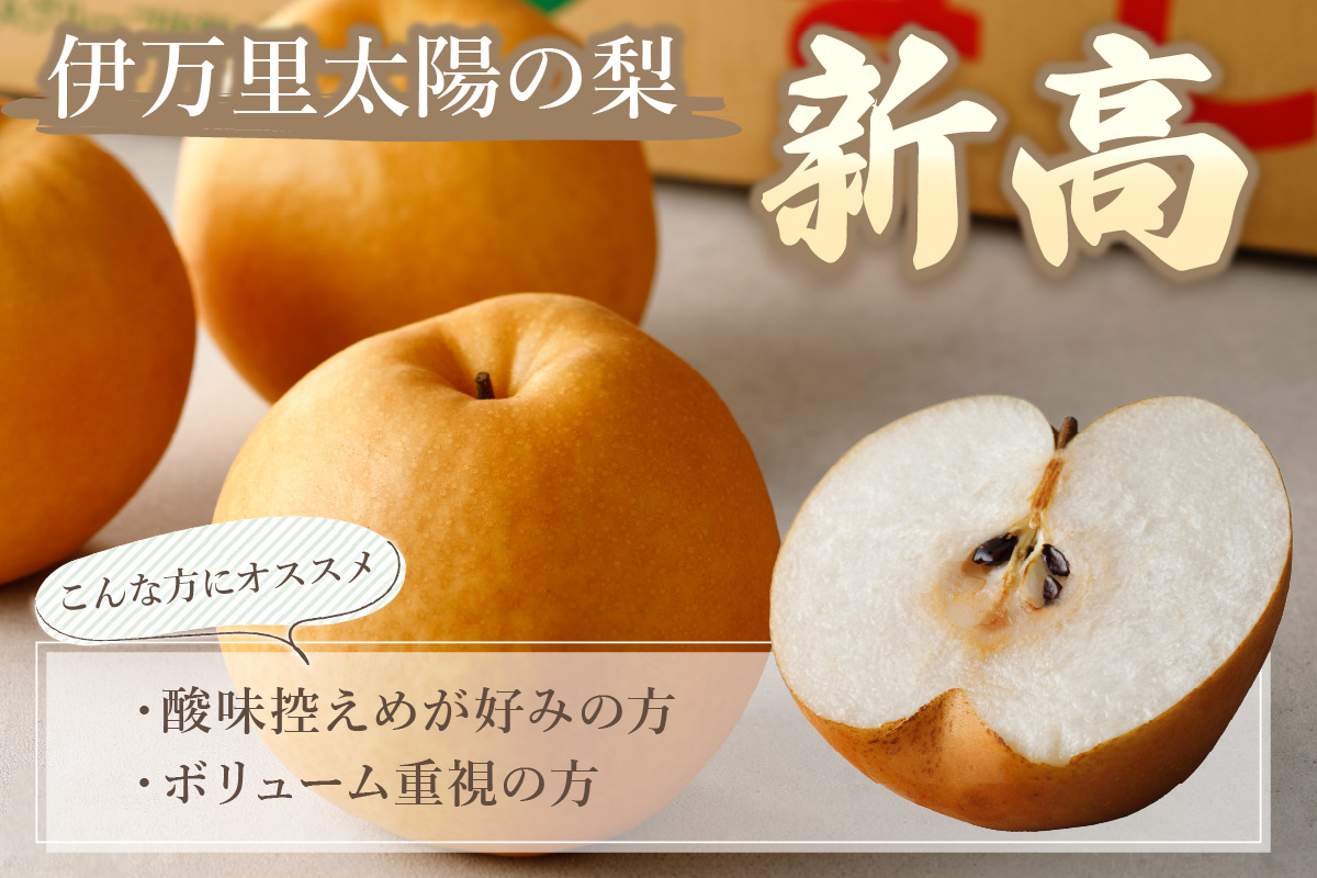 【2026年産先行予約】伊万里梨「新高」 5kg 大型種 178-B942