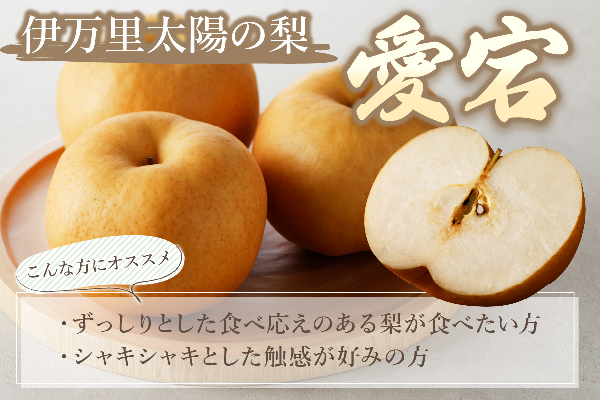 【2026年産先行予約】伊万里梨 「愛宕」 約5kg 大型種 178-B944