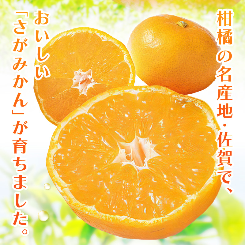 佐賀産さがみかん 約5kg箱 (伊万里市) 柑橘類 147-B800