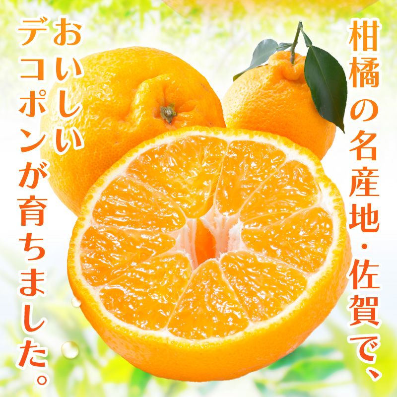 佐賀産 デコポン 約5kg (15-24玉) (伊万里市) 柑橘類 147-B803