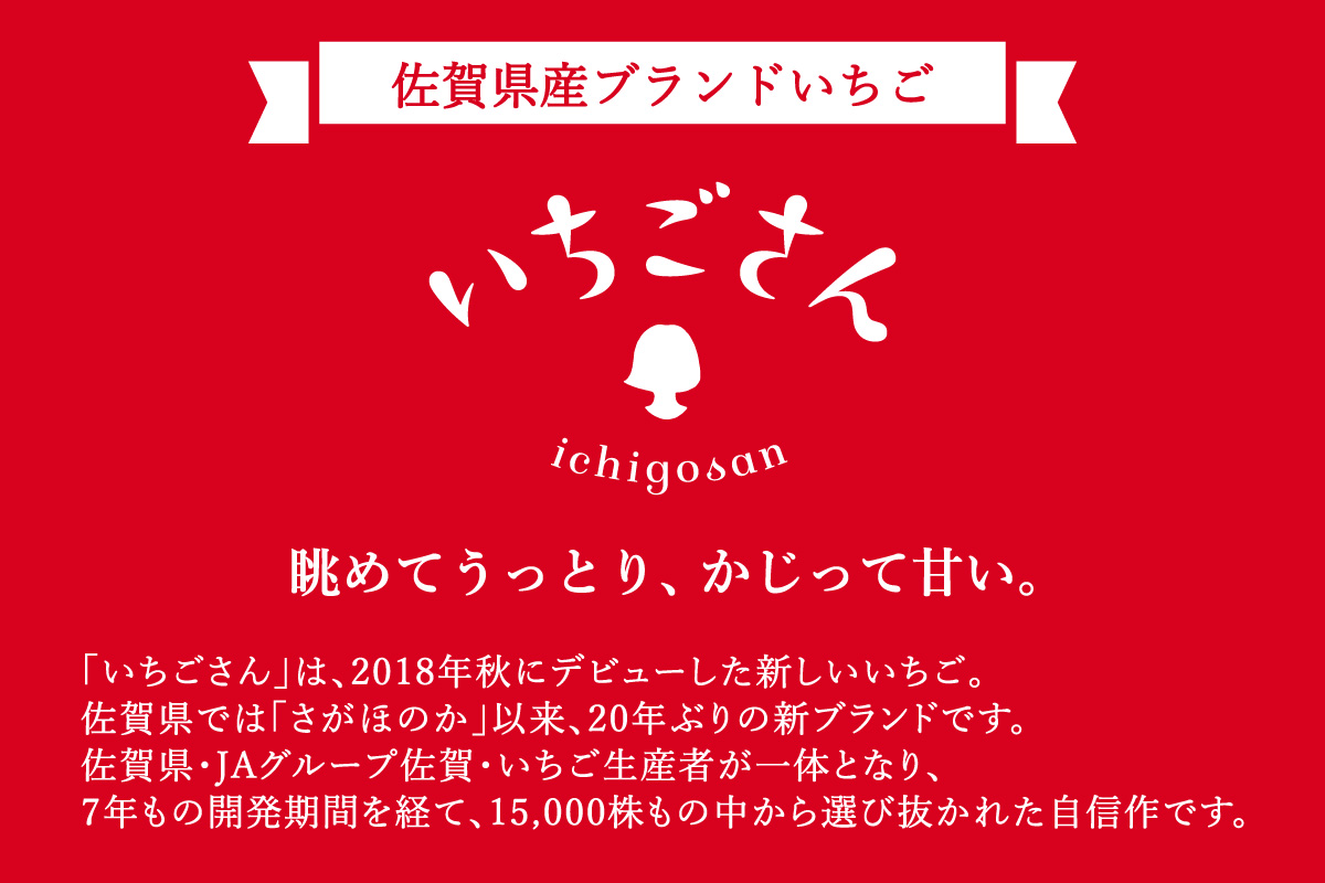【先行予約】伊万里産 特選「いちごさん」 450g 以上× 2パック ～鶴田農園～ 046-B833